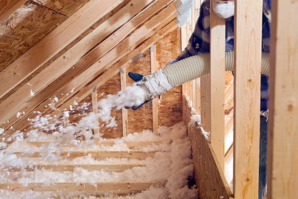 Best Attic Insulation Installation in Palm Beach, FL