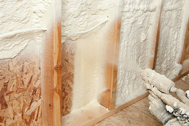 Best Basement Insulation in Palm Beach, FL