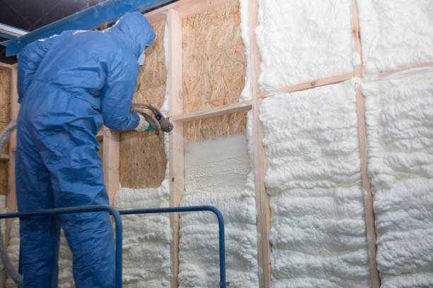 Best Batt and Roll Insulation in Palm Beach, FL